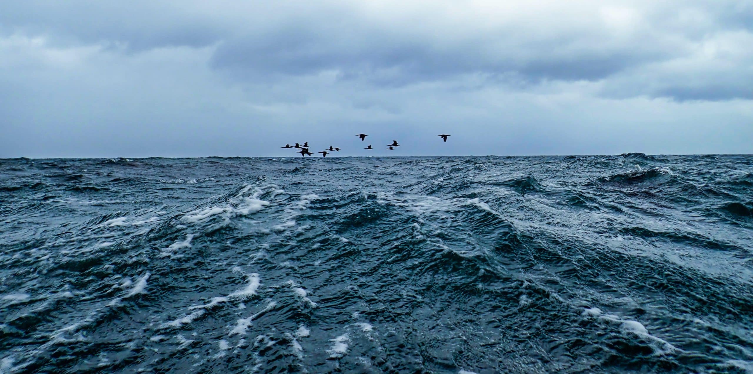 seasick on catamaran