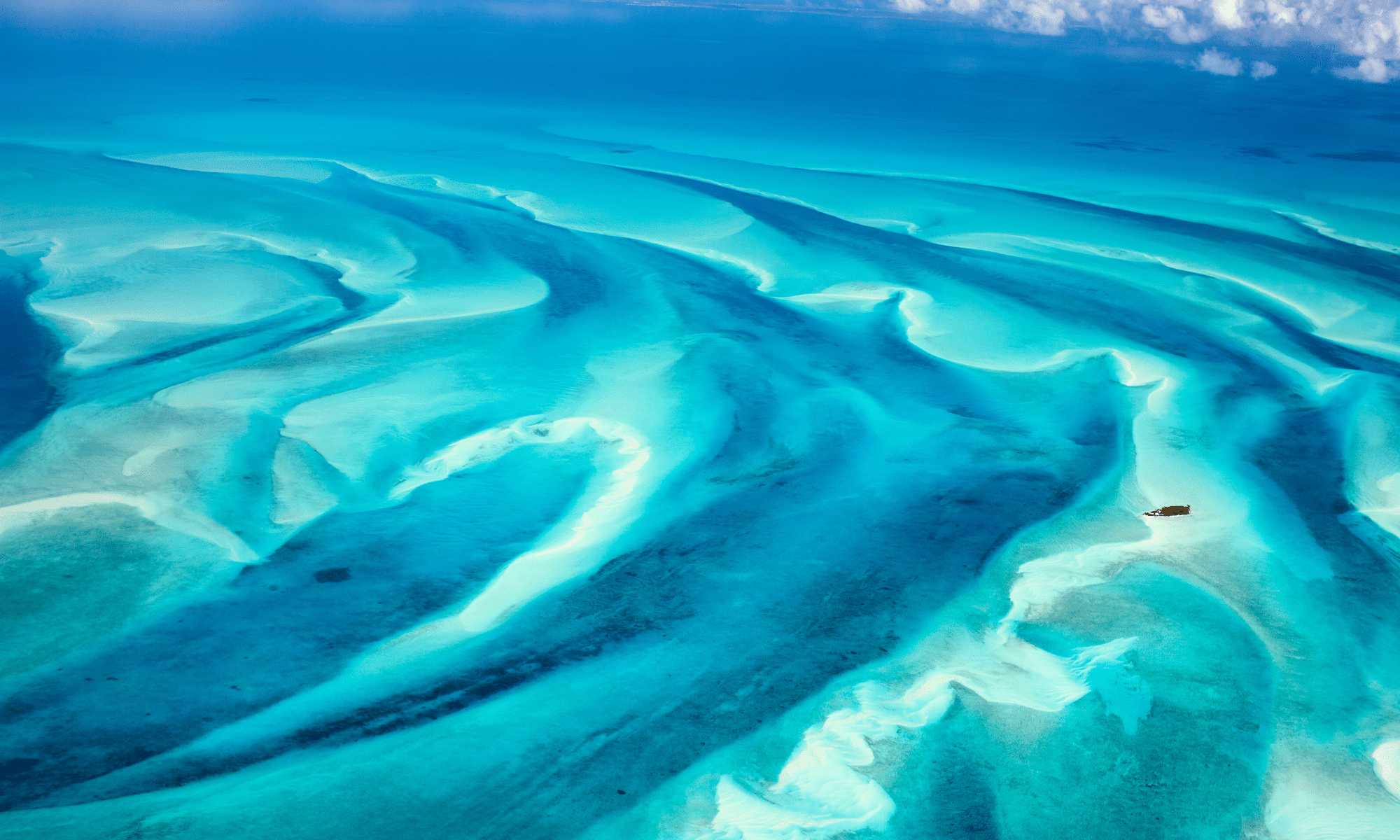 best catamaran sailing