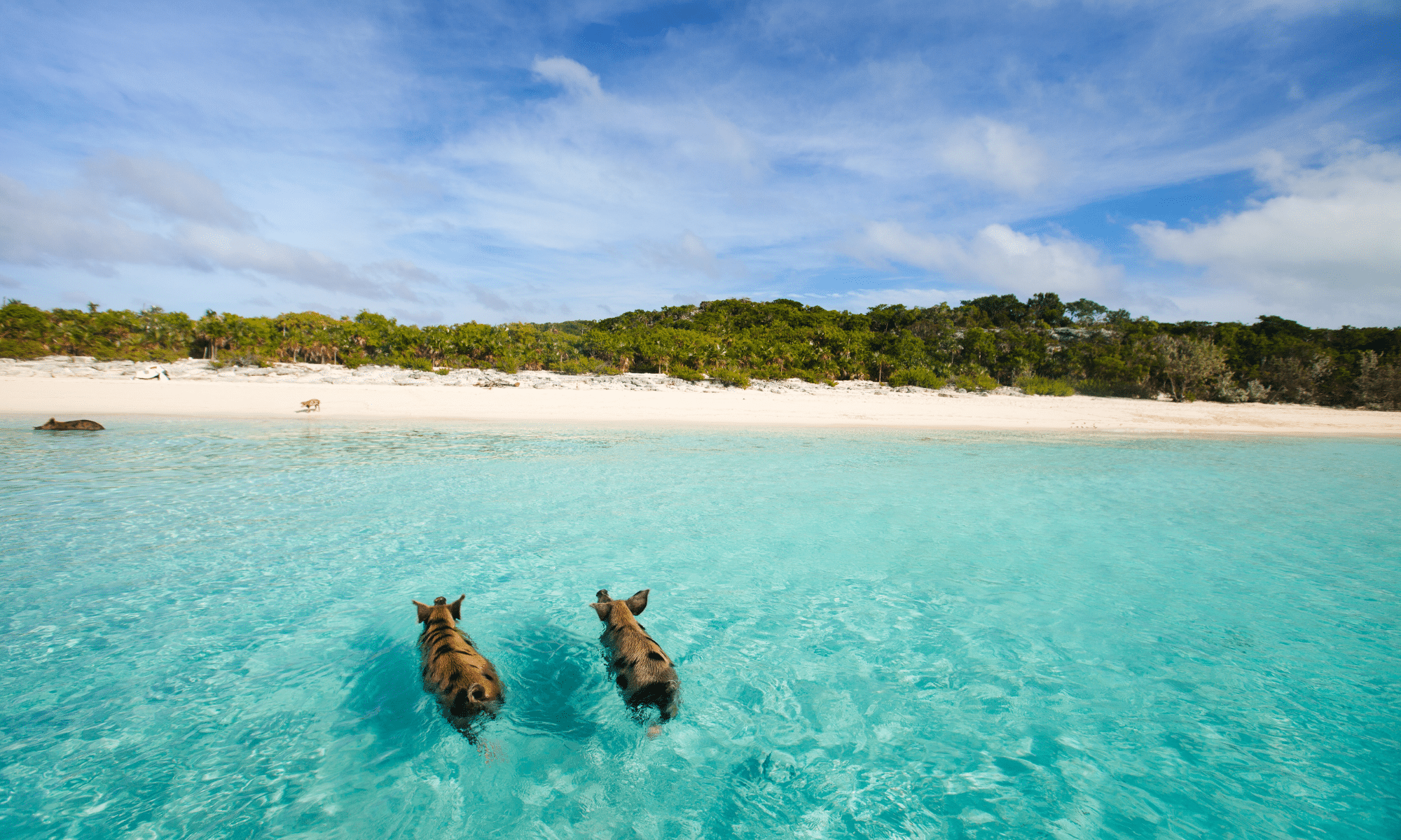 best catamaran sailing